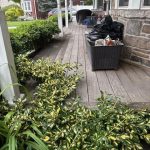 Front-Deck-1