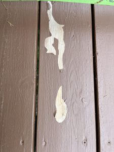 IMG_2402