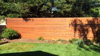 Armstrong Clark Transparent Cedar Tone