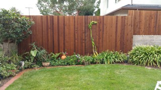 Armstrong Clark Transparent Cedar Tone