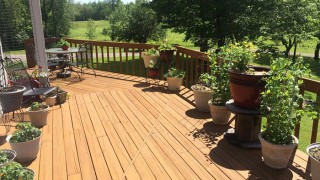 Armstrong Clark Semi-Solid Mountain Cedar