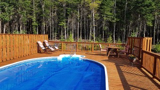 Armstrong Clark Semi-Solid Mountain Cedar