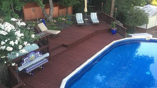 Armstrong Clark Semi-Solid Oxford Brown