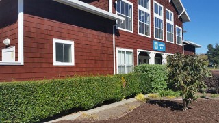 Armstrong Clark Semi-Solid Sequoia