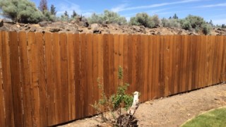 Armstrong Clark Semi-Transparent Cedar on Fence