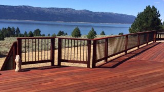 Armstrong Clark Mahogany on Hard Wood