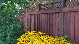 Armstrong Clark Rustic Brown on Fence