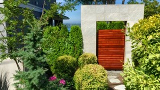 Armstrong Clark Sierra Redwood